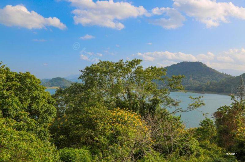 Bare Land For Sale In Theldeniya