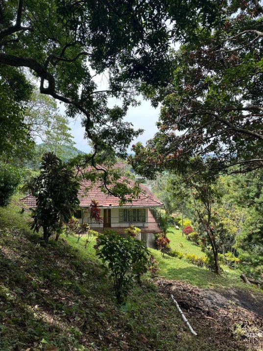 House For Rent Primrose Hill Kandy